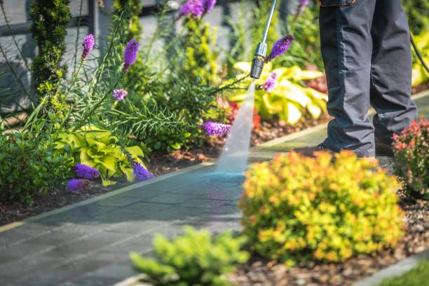 Best Gas Station Cleaning  in North Lakeport, CA